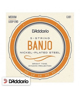 D'Addario EJ61 5-String Banjo