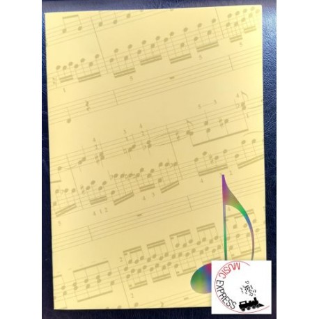 Quaderno di Musica Serie Concerto - 12 Pentagrammi, 32 Pagine